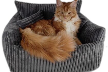 Jak stworzyć legowisko na wymiar dla swojego pupila?